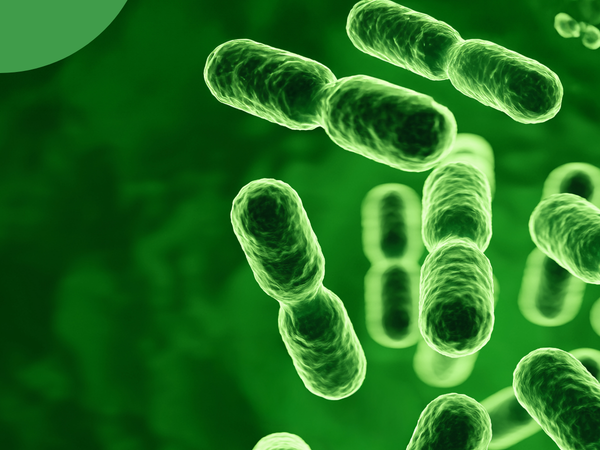 5 raisons de prendre des probiotiques - spécial femme