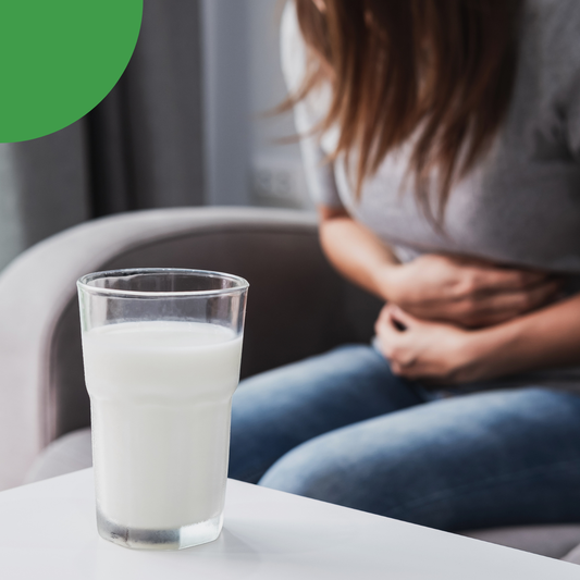 Quel est le rôle de la muqueuse intestinale ?