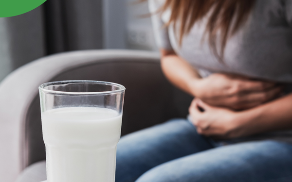 Quel est le rôle de la muqueuse intestinale ?
