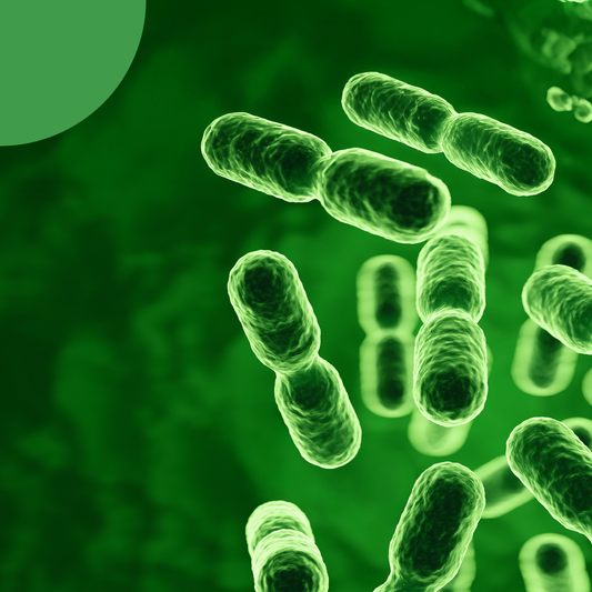 5 raisons de prendre des probiotiques - spécial femme
