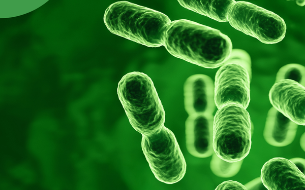 5 raisons de prendre des probiotiques - spécial femme