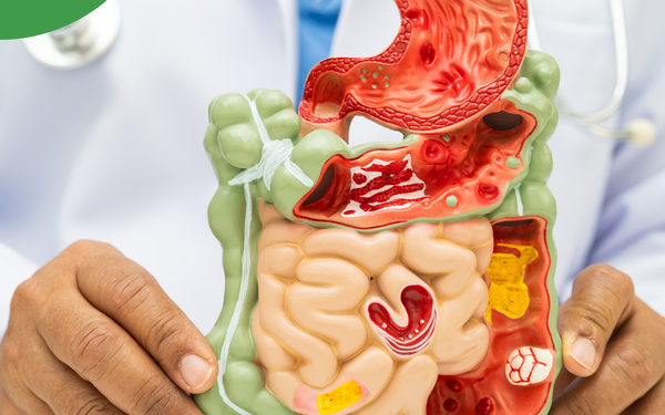 Le mucus, un composant essentiel