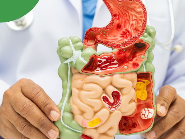 Le mucus, un composant essentiel