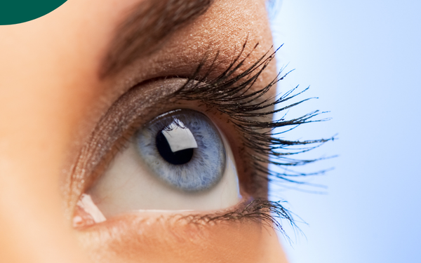 Vision et nutrition