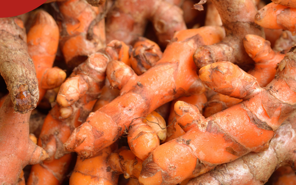Les bénéfices du curcuma