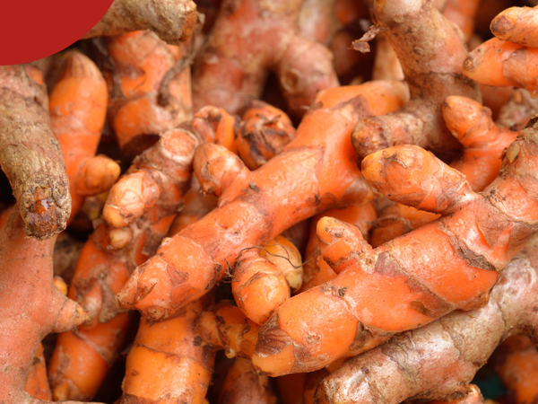 Les bénéfices du curcuma