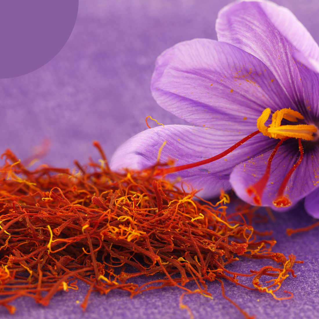 Quels sont les bienfaits du safran ?