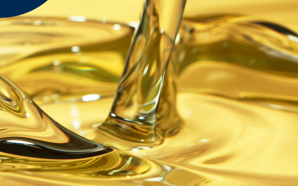 Quels sont les bienfaits du zinc ?