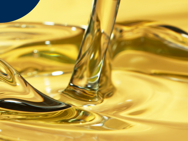 Quels sont les bienfaits du zinc ?