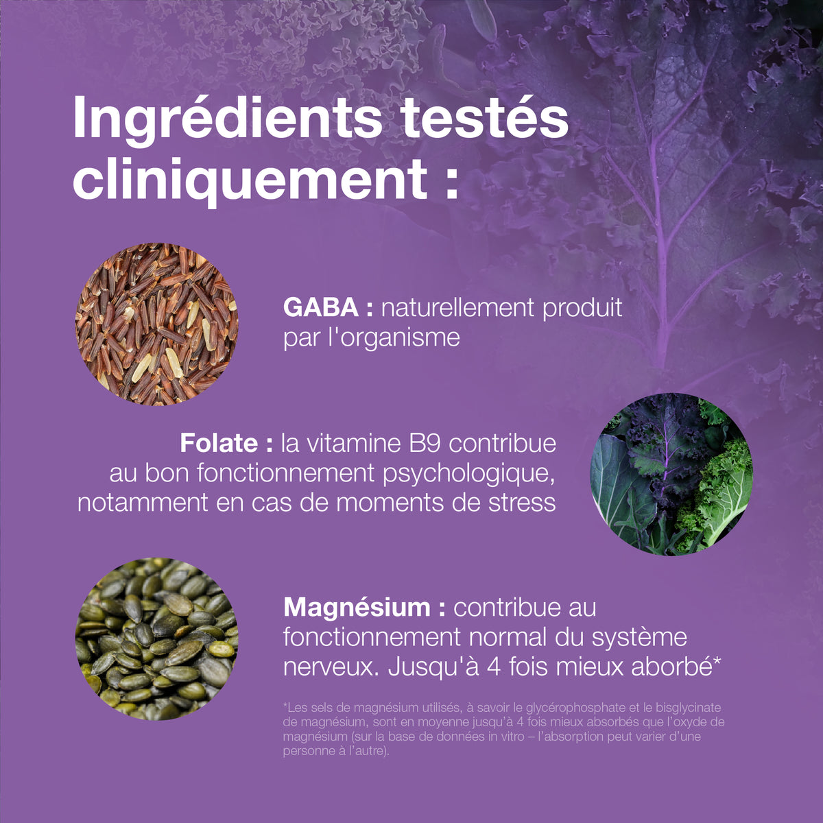 NutriMag Fast Calm – 30 comprimés à mâcher