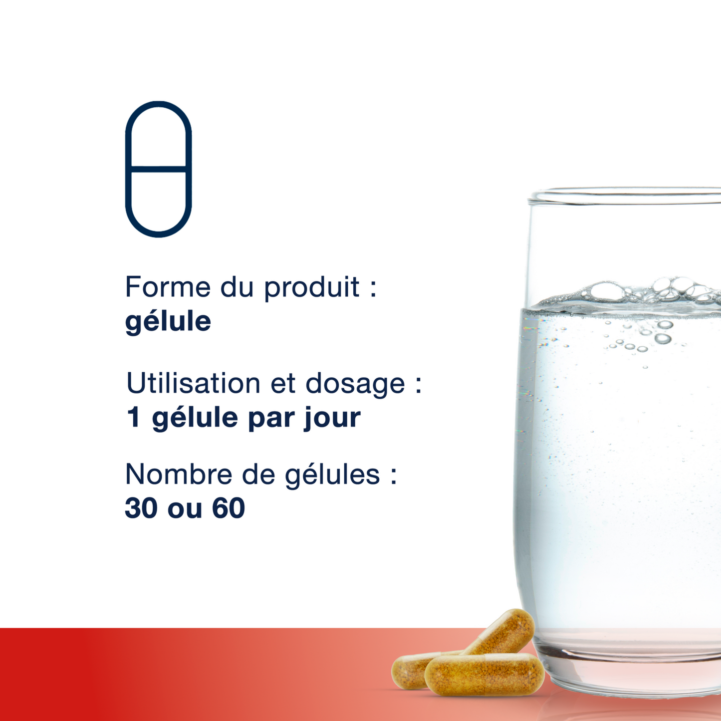 MetaActive Forte 60 gélules – Mode d'utilisation