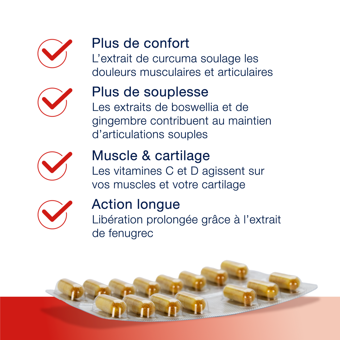 MetaActive Forte 60 gélules – Points forts