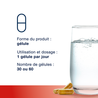MetaActive Forte 30 gélules – Points forts