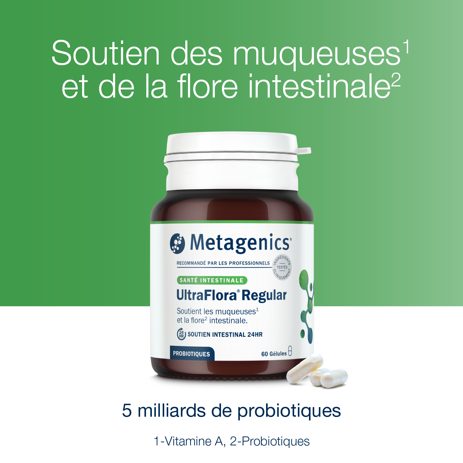 UltraFlora Regular 60 gélules – Claims produit